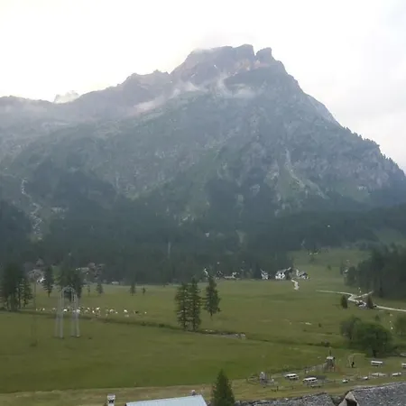 Stella Alpina