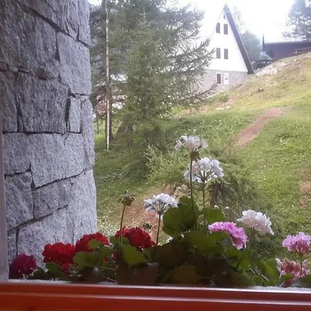 Stella Alpina Daire Alpe Devero