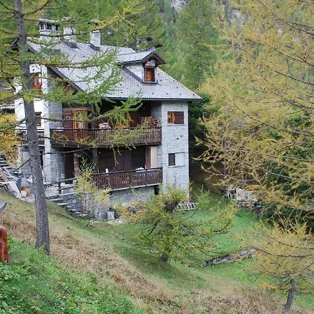 Daire Stella Alpina