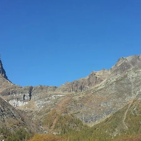 Stella Alpina * Alpe Devero