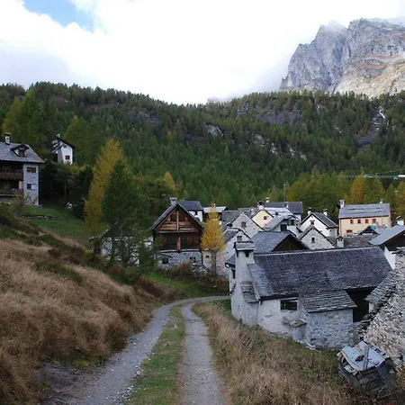 Stella Alpina Alpe Devero