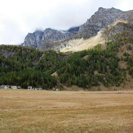 Stella Alpina * Alpe Devero